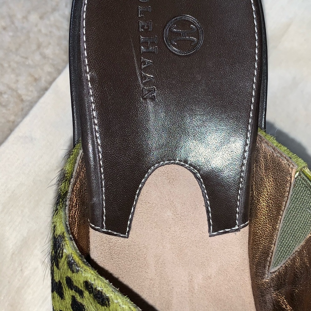 Shoes - Picture 3 of 6